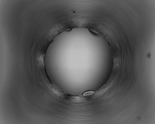 X0000101430286200807141249