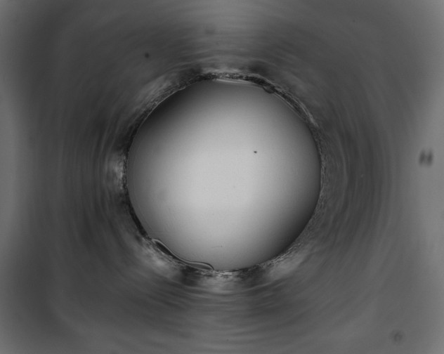 X0000101430288200807141249