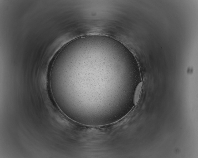 X0000101430290200807141248