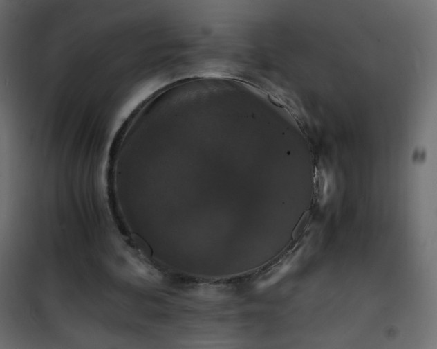 X0000101430292200807141248