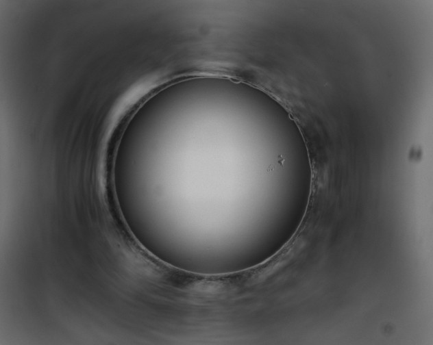 X0000101430294200807141248