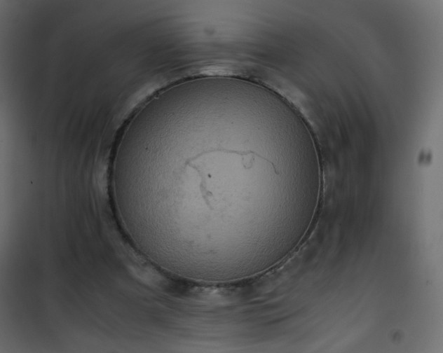 X0000101430297200807141248