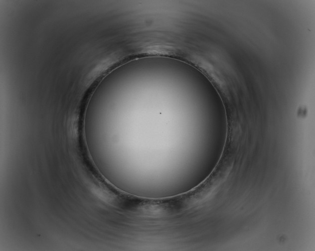 X0000101430299200807141248