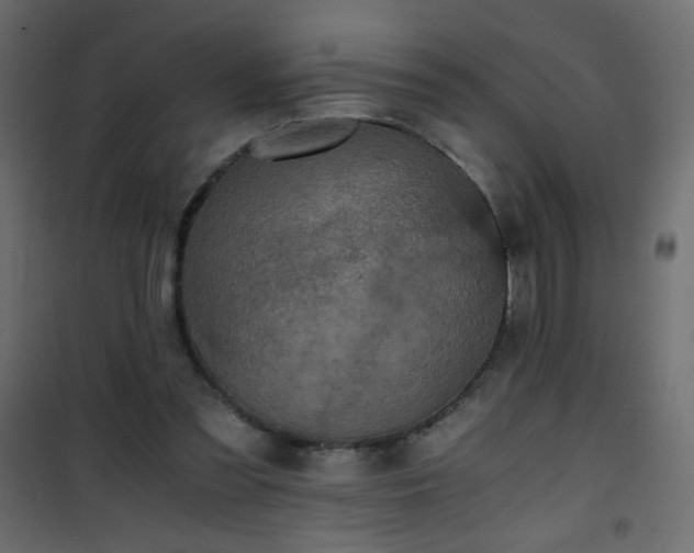 X0000101430301200807141248