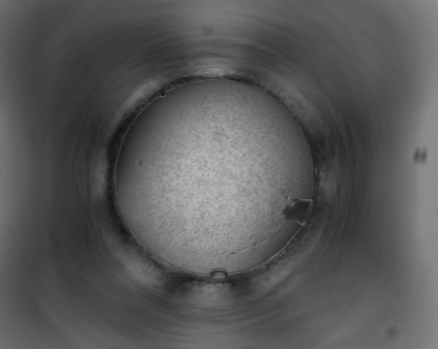 X0000101430304200807141248