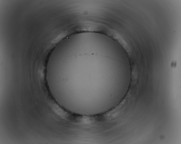 X0000101430305200807141248