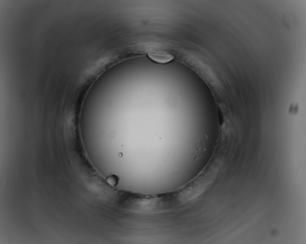 X0000101430306200807141248