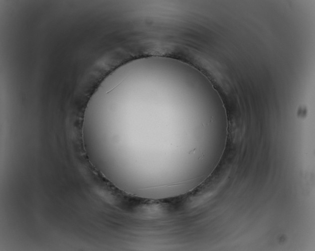 X0000101430307200807141248
