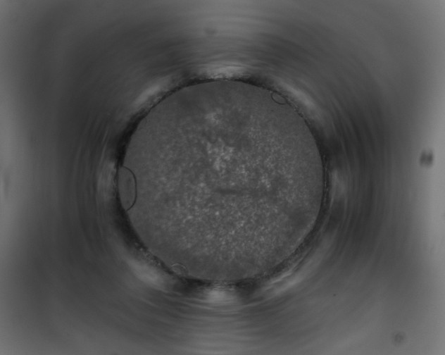 X0000101430308200807141248
