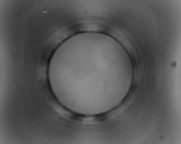 X0000101430309200807141248