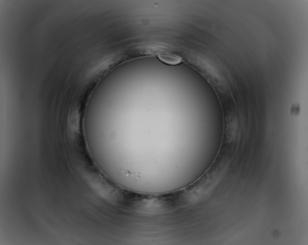 X0000101430310200807141248