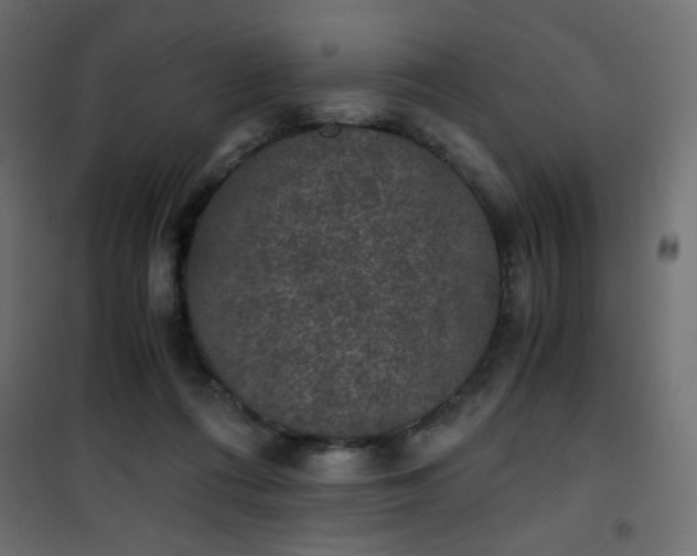 X0000101430312200807141248