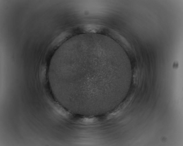 X0000101430314200807141248