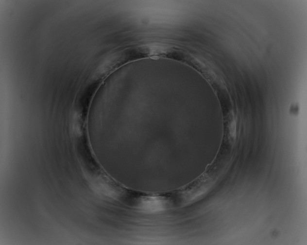 X0000101430316200807141248