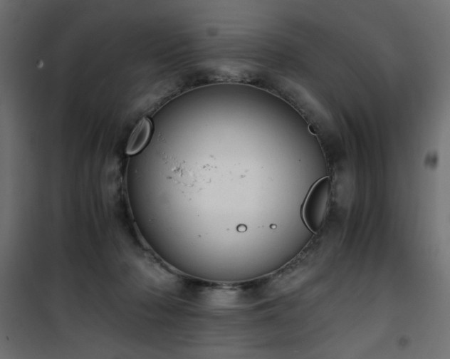 X0000101430318200807141248