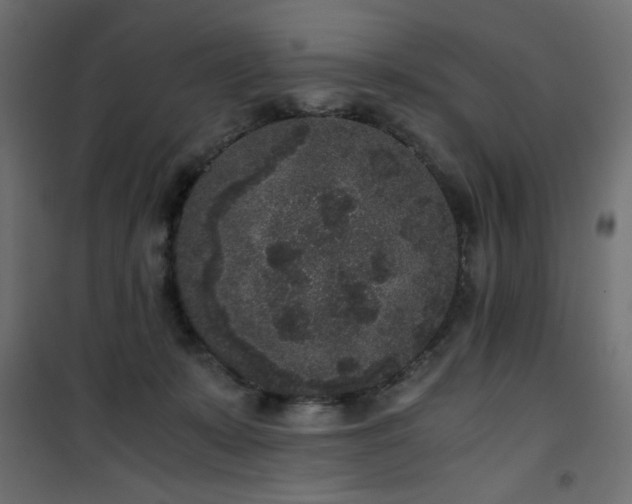 X0000101430319200807141248