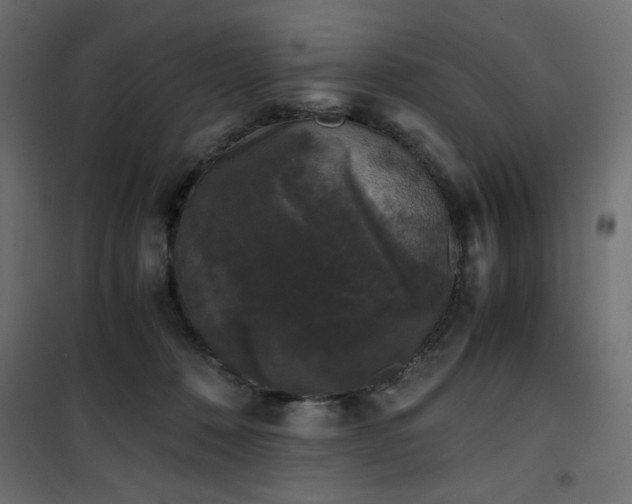 X0000101430320200807141248