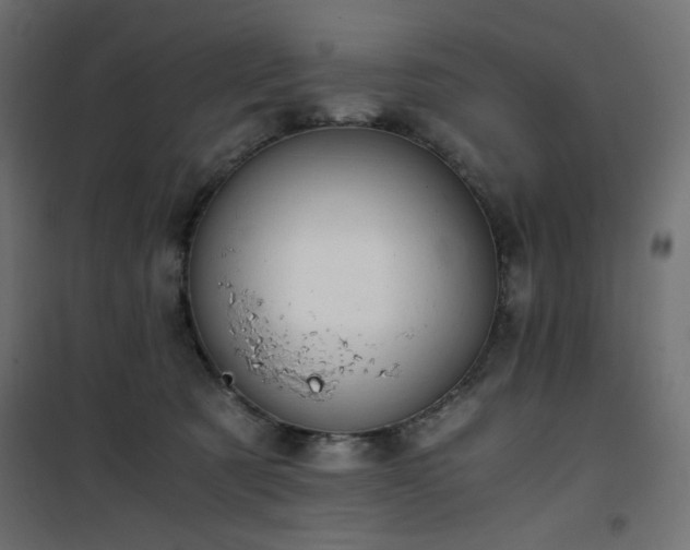X0000101430321200807141248