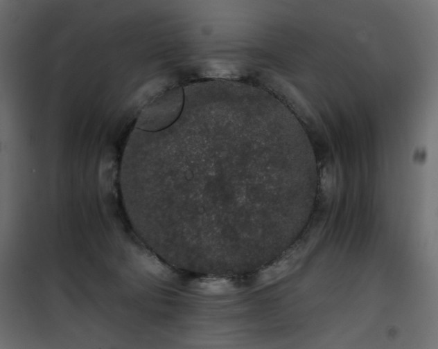 X0000101430322200807141248