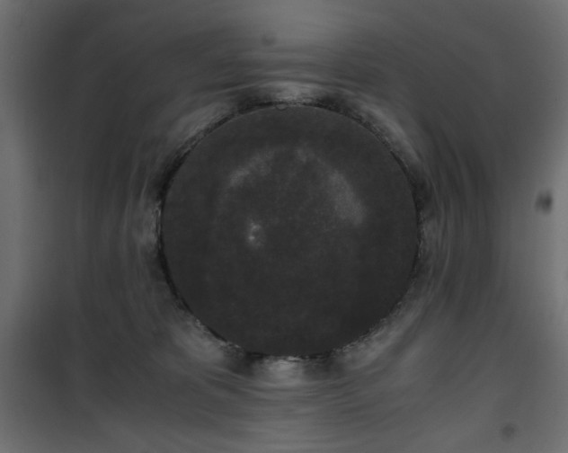 X0000101430325200807141248