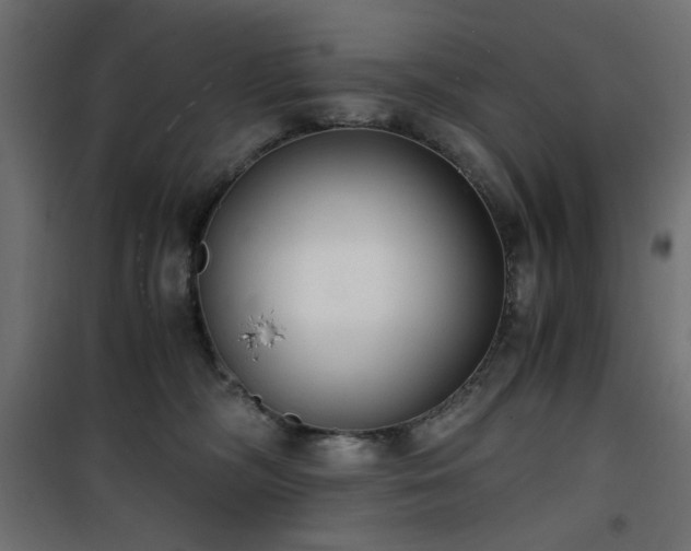 X0000101430326200807141248