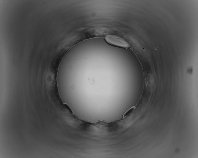 X0000101430327200807141248
