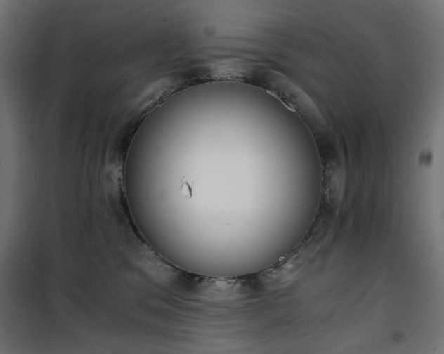 X0000101430329200807141248