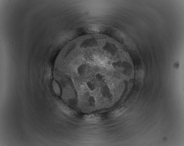 X0000101430331200807141248