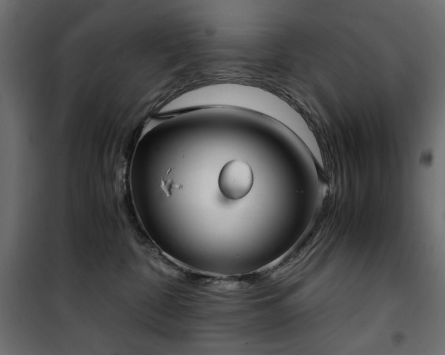 X0000101430332200807141248