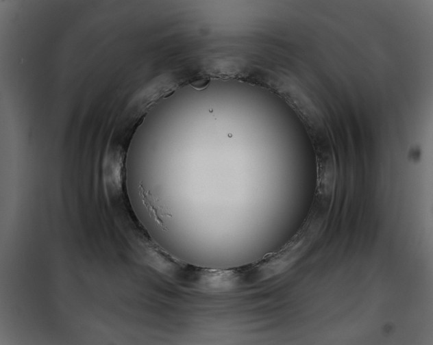 X0000101430334200807141248