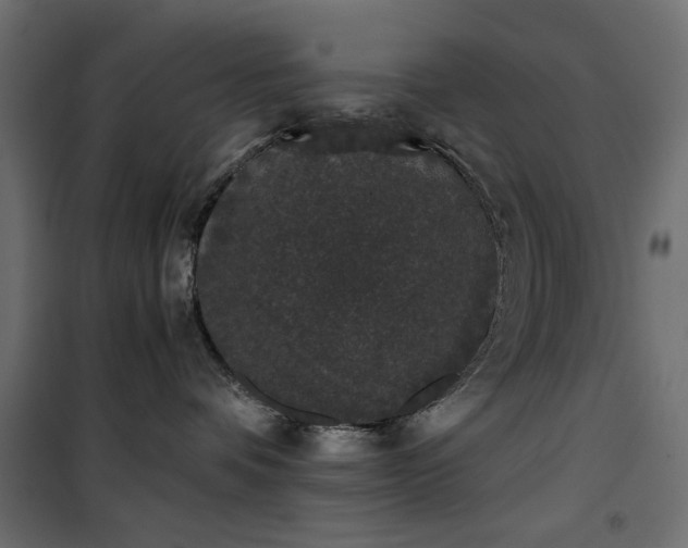 X0000101430336200807141248