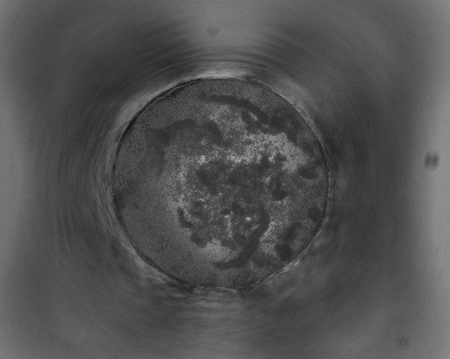 X0000101430337200807141247