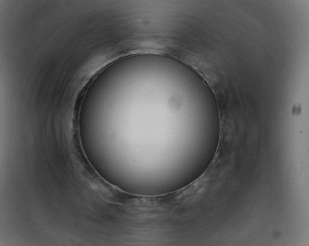 X0000101430338200807141247