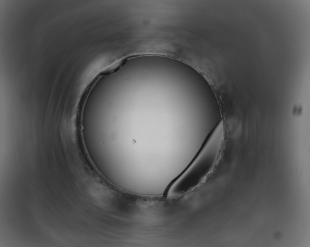 X0000101430340200807141247