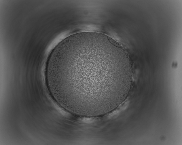 X0000101430341200807141247