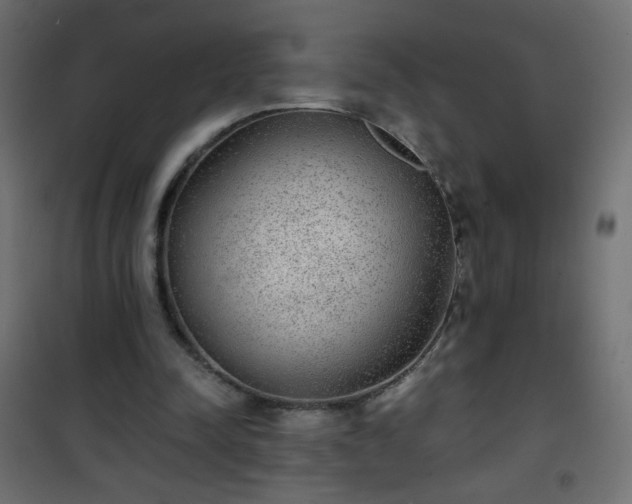 X0000101430342200807141247