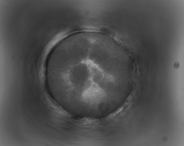 X0000101430343200807141247