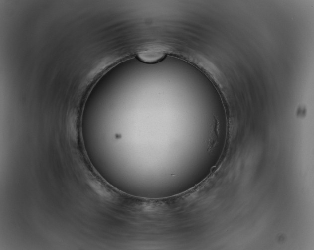 X0000101430345200807141247