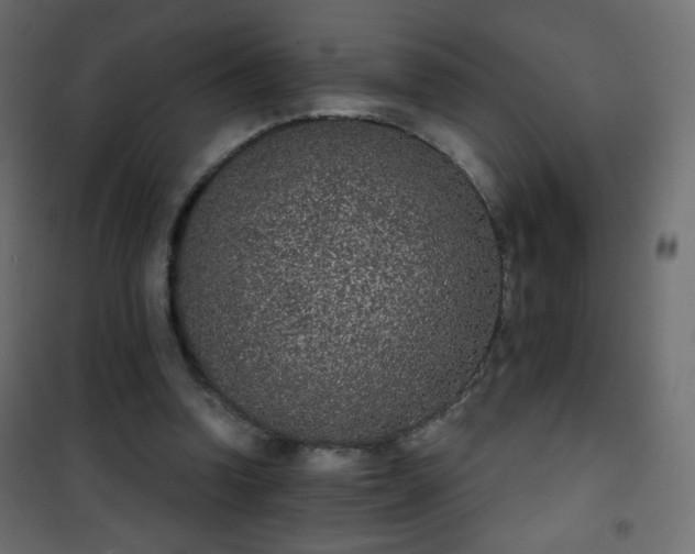 X0000101430346200807141247