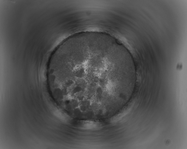 X0000101430347200807141247