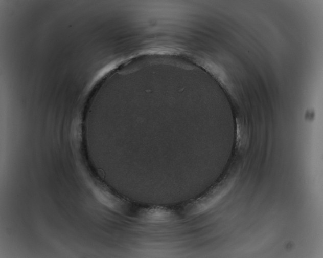 X0000101430348200807141247