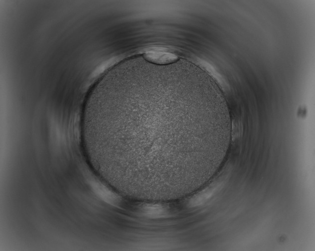 X0000101430349200807141247