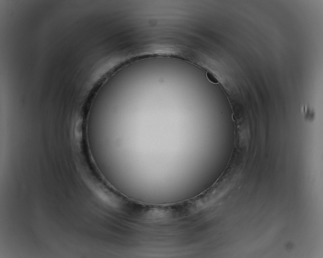 X0000101430350200807141247