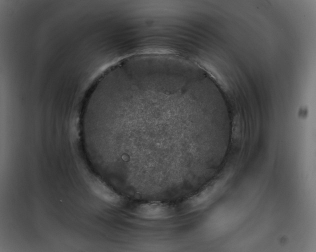 X0000101430351200807141247