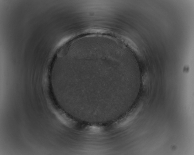 X0000101430352200807141247