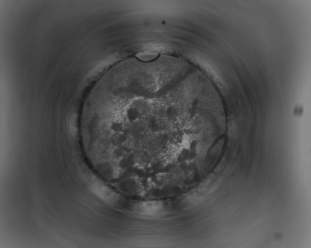 X0000101430353200807141247