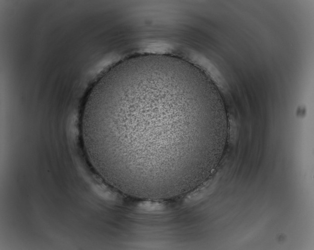 X0000101430354200807141247