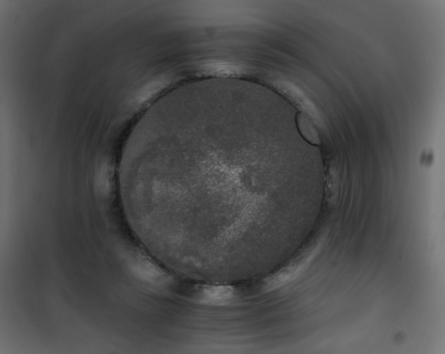 X0000101430355200807141247