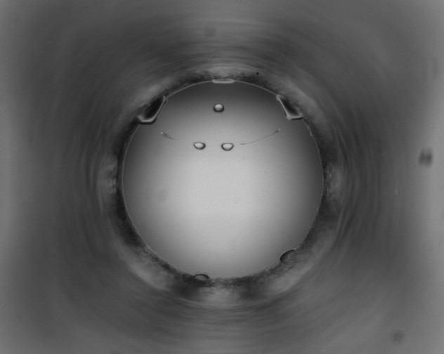 X0000101430356200807141247