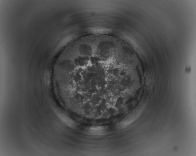 X0000101430357200807141247